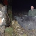 (Foto) Ovakvog vepra još niste videli: Odstrelio grdosiju od 290 kila kod Jagodine, pa pokazao šta znači lovačko srce!