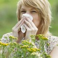 Udavi nas polen pre vremena Evo na šta smo ovih dana najviše alergični