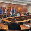 Život i smrt Radne grupe za izborne reforme