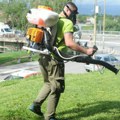 Uništavanje krpelja: Prolećna akcija u kraljevačkim parkovima