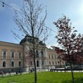 Šumadijski blok 21: Skupo plaćeni promašaj: 7 stabala od po 4.500 evra – uginula