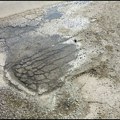Napukla vodovodna cev