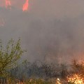 Vlada formirala komisiju za sanaciju štete od požara – 350 miliona dinara za pomoć ugroženima