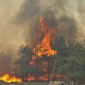 Veliki šumski požari u Turskoj: Poginulo deset vatrogasaca i šumara