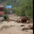 Apokalipsa na Dunavu! Čamac prevrnut u oluji – dete među stradalima (video)