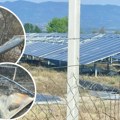 Zapalili se solarni paneli u Lebanu, postavljao ih poslovni partner Nikole Petrovića: Leteli u nebo, sve gorelo, komšija…