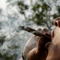 Kanabis i zdravlje – kada postaje opasan?