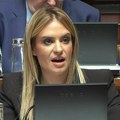 Đurđević Stamenkovski: Status roditelj-negovatelj ekvivalentan radnom odnosu