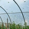 "Ovakvo nevreme nije bilo u poslednjih 50 godina": Neverovatni snimci nezapamćenog nevremena u Nevesinju
