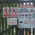 Od 17 lovišta kojima gazduju Vojvodina šume, virus afričke kuge prisutan u 16