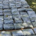 Velika akcija policije u Sarajevu: Zaplenjena veća količina marihuane, uhapšena jedna osoba