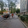 „MEDIANA“ NA BROJNIM LOKACIJAMA U NIŠU: Uređuju se parkovi, drvoredi i zelene površine