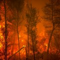 Požar zahvatio borovu šumu kod Pljevalja, vojni helikopter uključen u gašenje