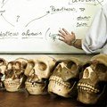 Homo sapiens je 9. vrsta ljudi, a evo šta se desilo sa preostalih osam: Neki su završili tragično, a neke smo ubili