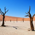 Više od 3.500 životinjskih vrsta ugroženo klimatskim promenama, pokazala naučna studija