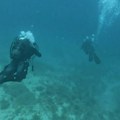 Neverovatno otkriće u Jadranu: Slučajno zaronio u vodu i pronašao ostatke stare tri veka