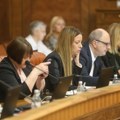 „Prodavačica mobilnih telefona iz Batajnice, konobar iz Valjeva, debeli plagijator optužen da je seksualni predator koji čačka…