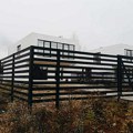 Sve što treba da znate o savremenim ogradama: Privatnost, sigurnost i estetika