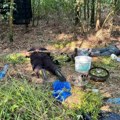 Hapšenje u Grockoj: Policija zatekla dve osobe u ilegalnoj laboratoriji, evo šta je zaplenjeno