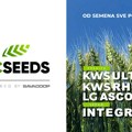 SC Seeds – od pravog izbora semena do sigurnog rezultata na njivi
