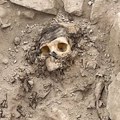Arheolozi otkrili 3.000 godina staru mumiju ispod sedam tona smeća