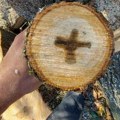 Dragoljub iz Goričana presekao drvo i ukazao mu se krst: Ovakav Božiji znak ne pamte ni najstariji meštani