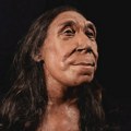 Археологија и историја: Обелодањено лице 75.000 година старе Неандерталке
