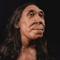 Arheologija i istorija: Obelodanjeno lice 75.000 godina stare Neandertalke