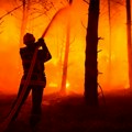 Bajden proglasio stanje katastrofe zbog šumskih požara na jugu Novog Meksika
