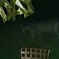 Monstrum napao devojčicu ispred kuće Divlja zver je zaskočila s leđa, tragedija izbegnuta u poslednjoj sekundi! (video)
