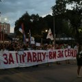 Šajn: SNS organizovala batinaške brigade unutar romske zajednice da bi je naterala na poslušnost