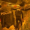 Uhapšena grupa osumnjičena za uzgajanje marihuane u laboratorijama