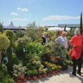 Sajam hortikulture otvoren do nedelje