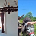 Švajcarac Frenk oduševljen Srbijom: Napustio Alpe i napravio turistički raj kod Valjeva, svi hrle tamo (video)