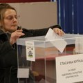 SANU najavila panel – Demografski uvid u izborne rezultate