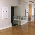 U Narodnom muzeju Pančevo otvorena izložba "Animalia et populus"