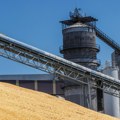 Vlada Srbije dala saglasnost na otkup 200.000 tona pšenice, mera pomoći ratarima