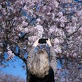 Proleće je stiglo: Prelepi prizori cvetanja u fotografijama