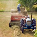 Šteta od suše, mrazeva i grada prepolovila bruto dodatu vrednost poljoprivrede