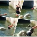 (Uznemirujući video) horor iz zoo vrta još uvek se pamti: Žena (32) skočila u prostor gde su polarni medvedi! Zveri su je…