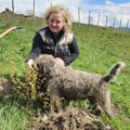 (Foto) „Proizvodim sve što mi je potrebno“ ruskinja gaji koze na kamenoj gori Profesorka Irina menjala grad za srpsko selo…