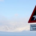 Polarni medvedi Svalbarda debljaju se uprkos topljenju leda