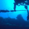(Video) Pogledajte snimak susreta sa morskom nemani u Italiji! Prvi ovakav prizor u istoriji: Ono što je prišlo roniocima u…