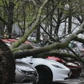 Nevreme pogodilo sever Hrvatske: Vetar čupao stabla, odneo krov škole u Orahovici