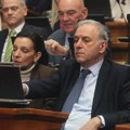 Ponoš (SRCE): Vlasnici batinaša ne razumeju da će se glas Filipovića posle prebijanja još dalje čuti