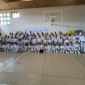 Каратисти Топличанина на регионалном семинару на Власинском језеру