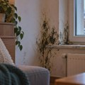 ZAŠTO NAM SE VRAĆA BUĐ čim zahladi: Koliko je opasna po zdravlje i kako je se zaista rešiti? Buđ na zidovima