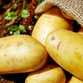 Tehno kampanjom podstiču mlade da jedu krompir