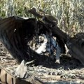 Avion sa padobrancima pao na plažu u južnom Meksiku: Nastradala jedna osoba, više njih povređeno