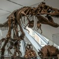 Šta sve znamo o njima – 200 godina od otkrića dinosaurusa